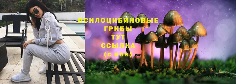 дарк нет какой сайт  mega вход  Тольятти  Галлюциногенные грибы Magic Shrooms 